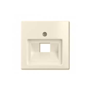 Центральная плата, слоновая кость